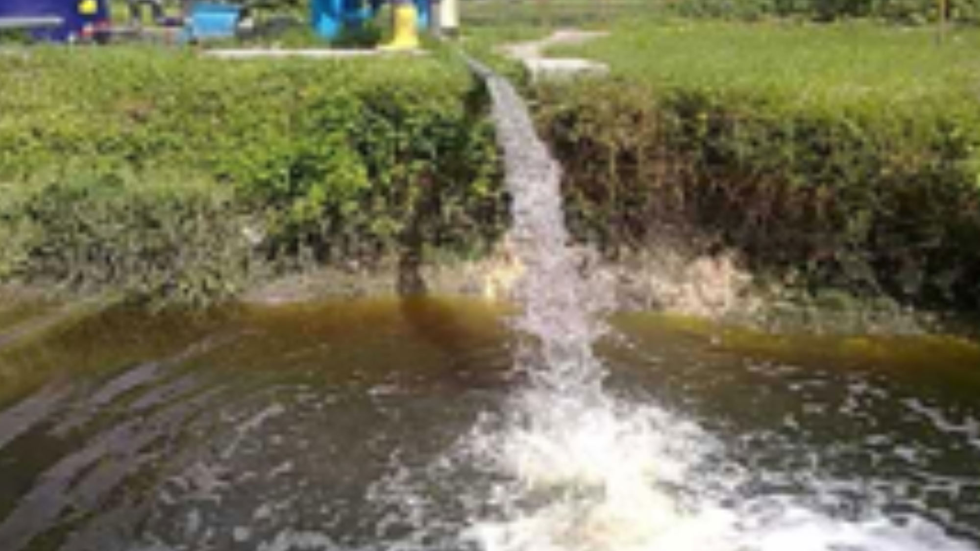 Treatment of Palm Oil Mill Effluent (POME)